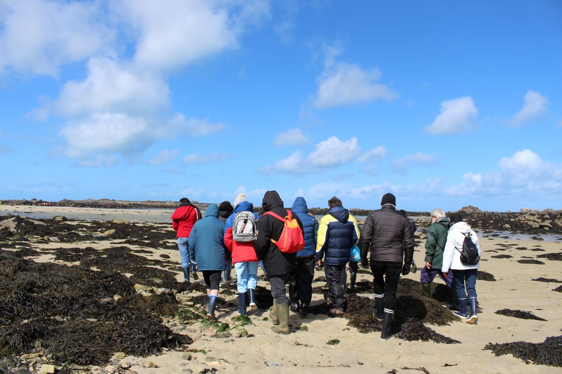 Balade à pied vers l’île Vierge #Grandes Marées#