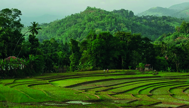 Ciné-Conférence « Sri Lanka »