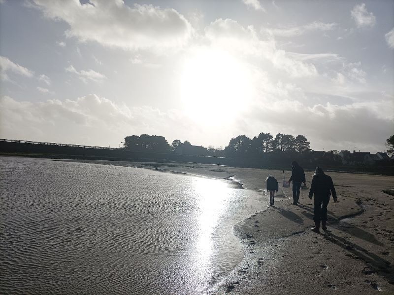 Sortie découverte de l’estran – Pêche à pied