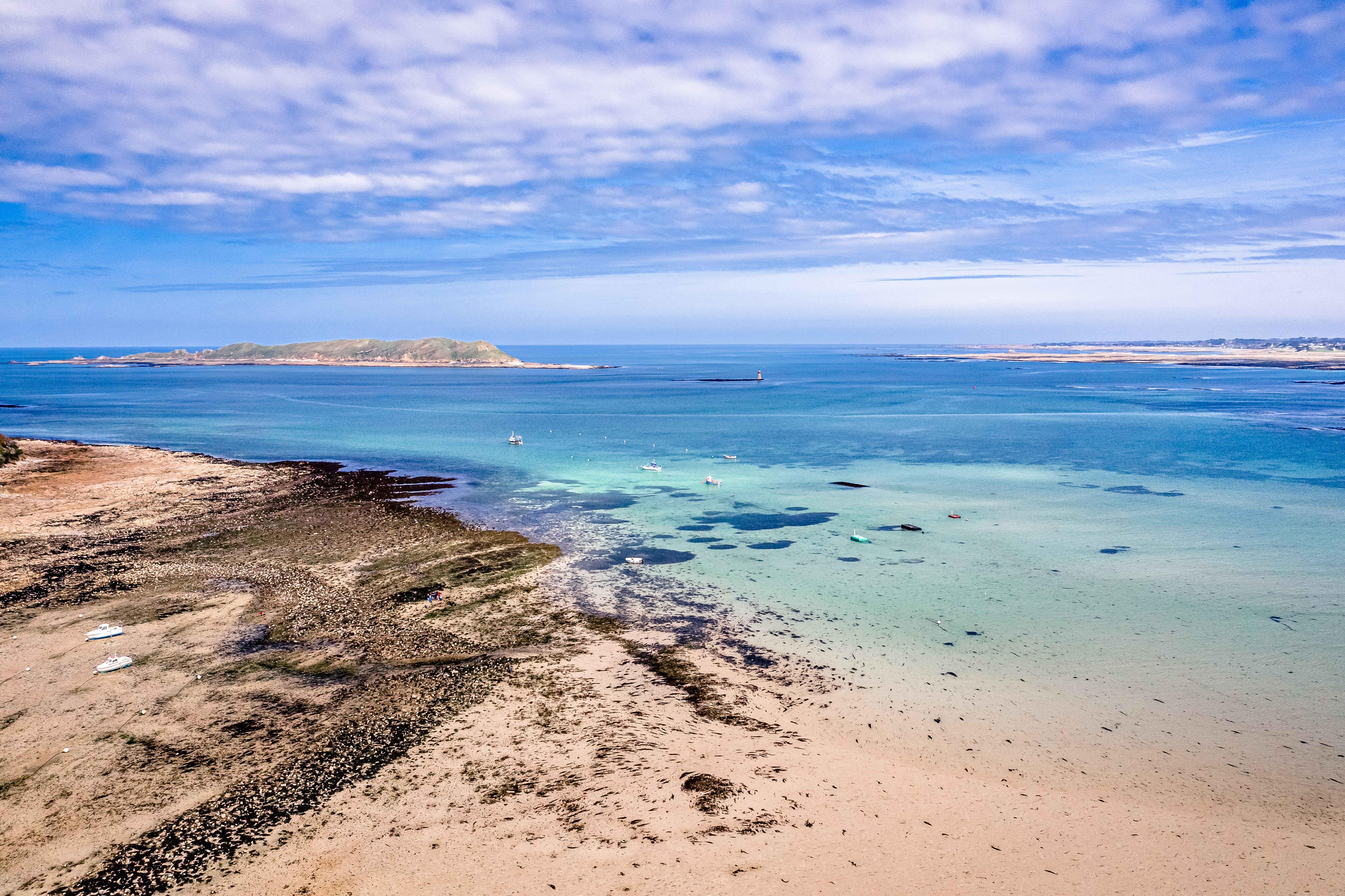 Découverte de la biodiversité de l’estran